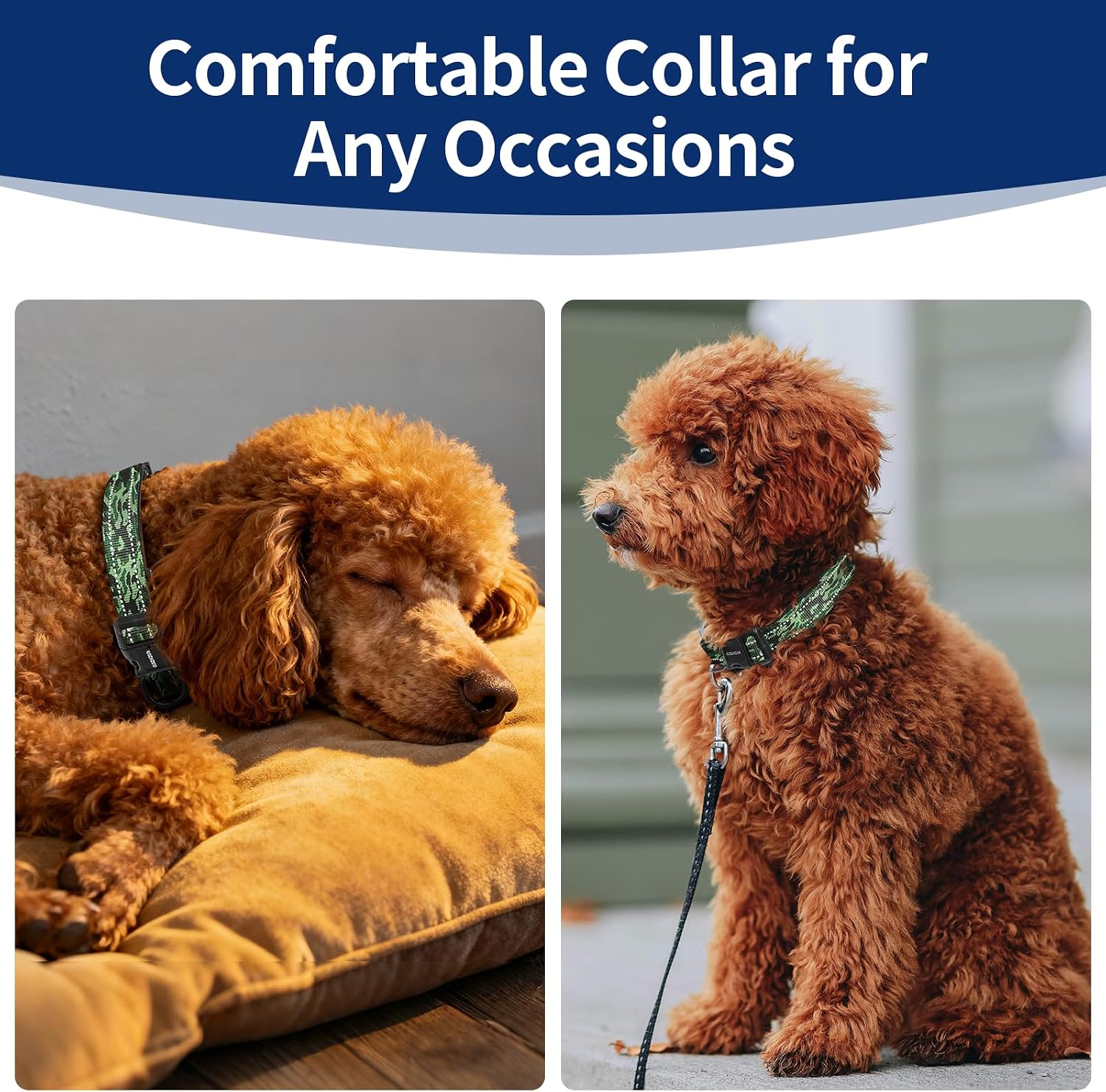 Detalle de Kazazoo Dog Collar, Medium