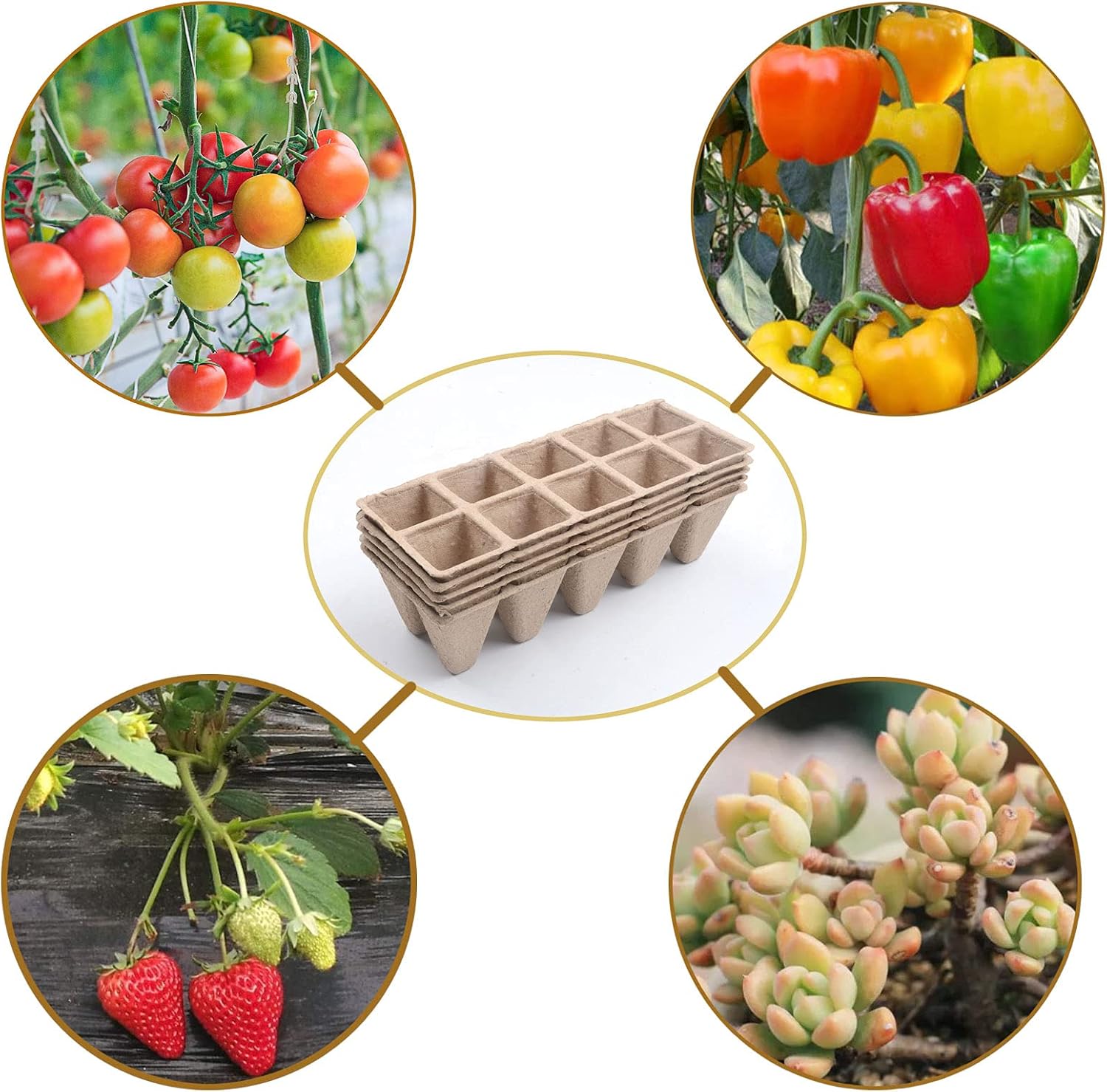 Thumbnail 2 de Seed starter tray kit 120 cells