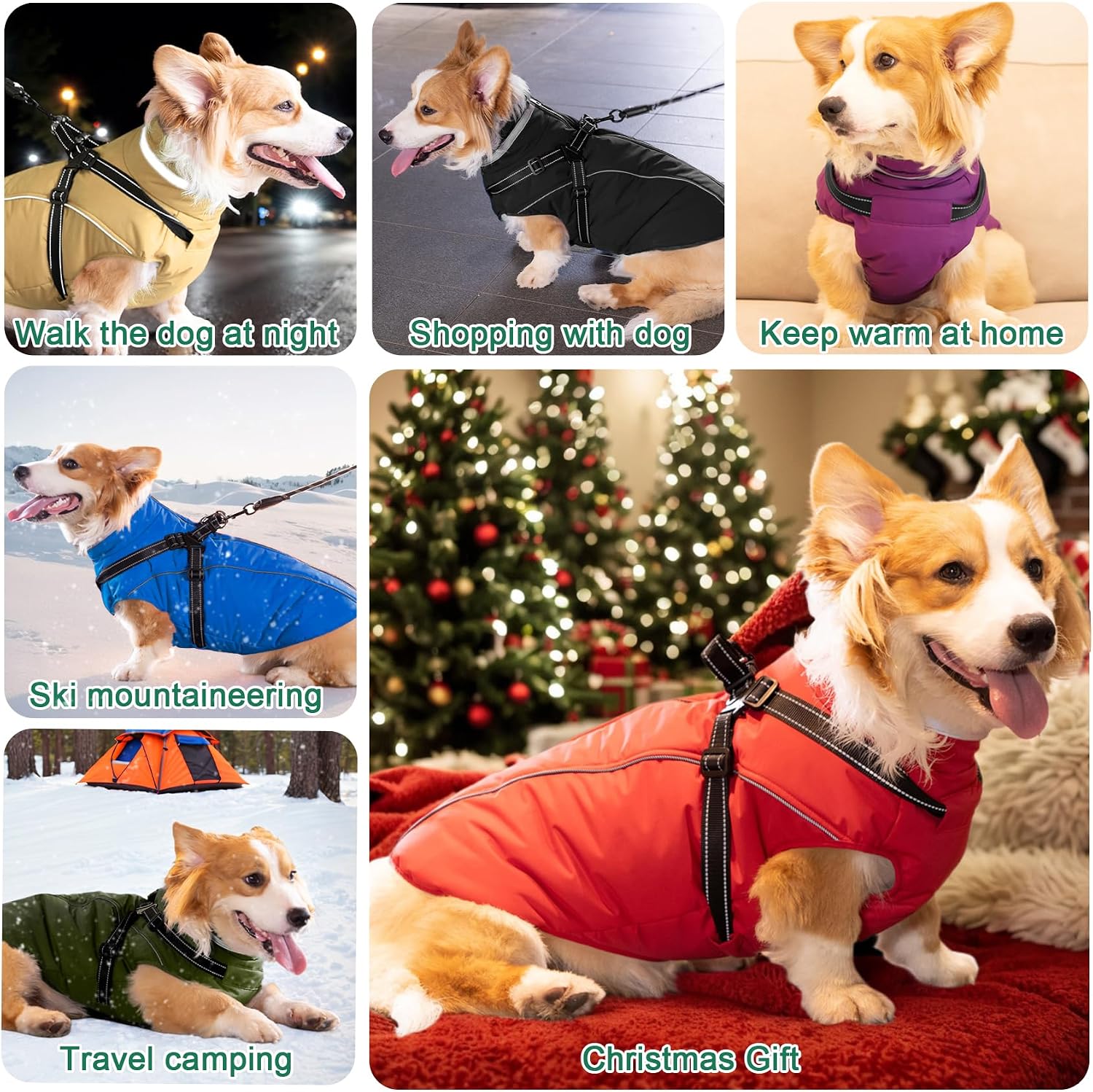 Thumbnail 6 de Fragralley TC2021 Dog Coat with Built-In Harness, Waterproof Fleece Lining