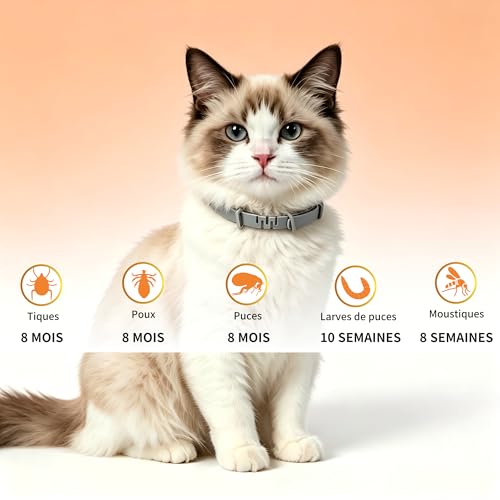 Detalle 2 de Meloive Collier Antipuces et Anti-tiques pour Chats – 3 Pièces