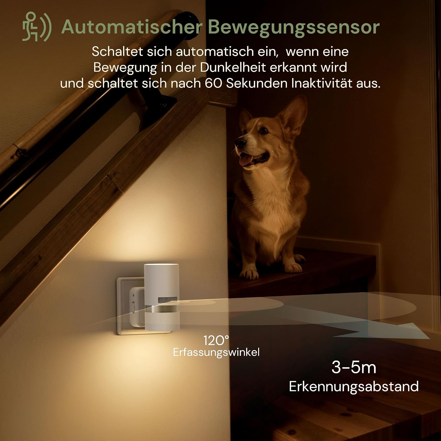 Detalle de LOHAS-LED Bewegungsmelder-Nachtlicht (2er-Set) mit 3 Modi: ON/AUTO/OFF, warmweiß 3000K, dimmbar für Steckdose