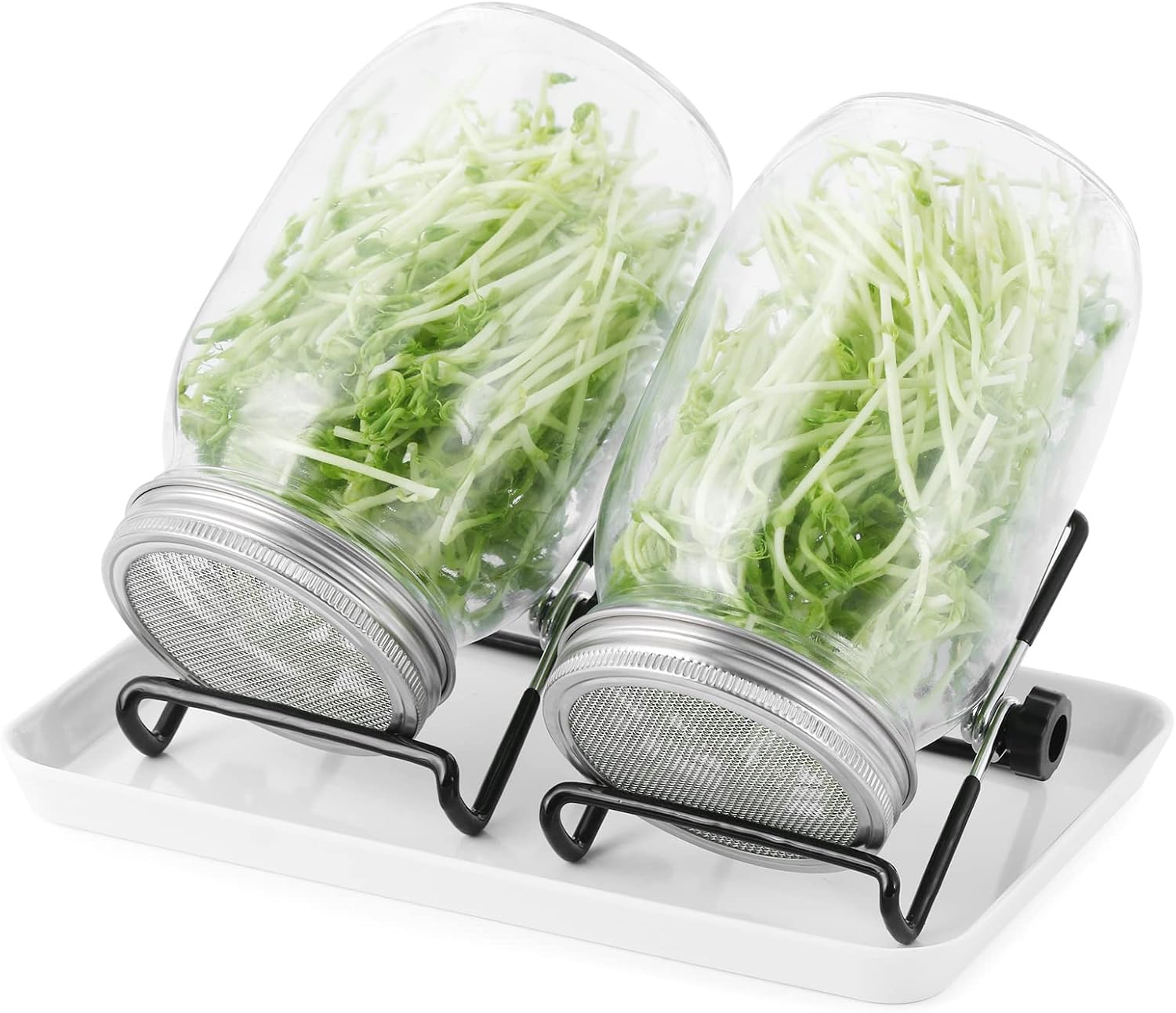 Sprossenglas Set 2er 1000 ml Keimglas
