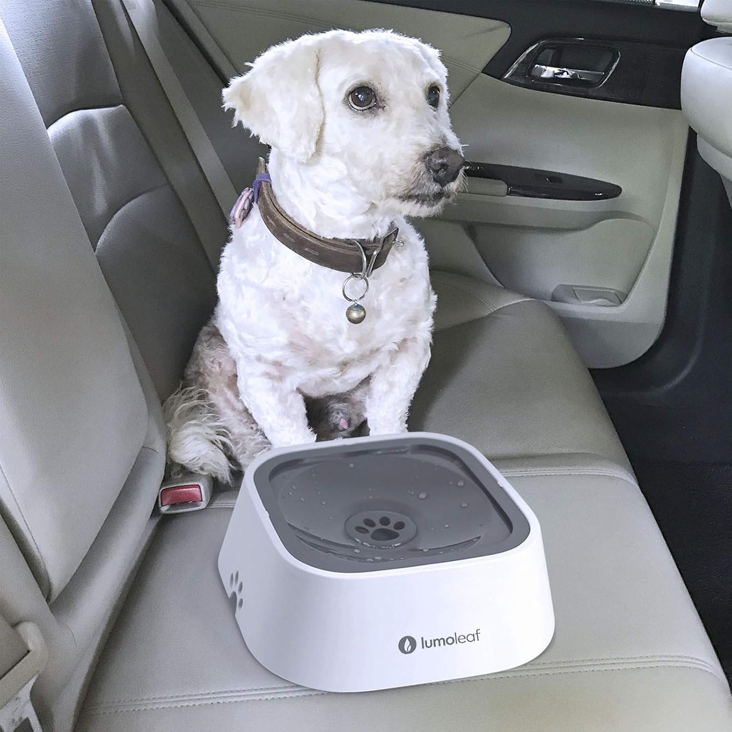 Thumbnail 6 de LumoLeaf No Spill Water Bowl for Dogs (Slow Feeder, Drip-Free & Splash-Proof) – 1L Grey