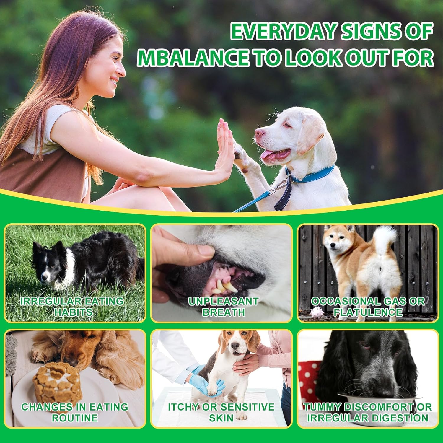 Thumbnail 1 de Masticatori Probiotici per Cani per digestione e pelle