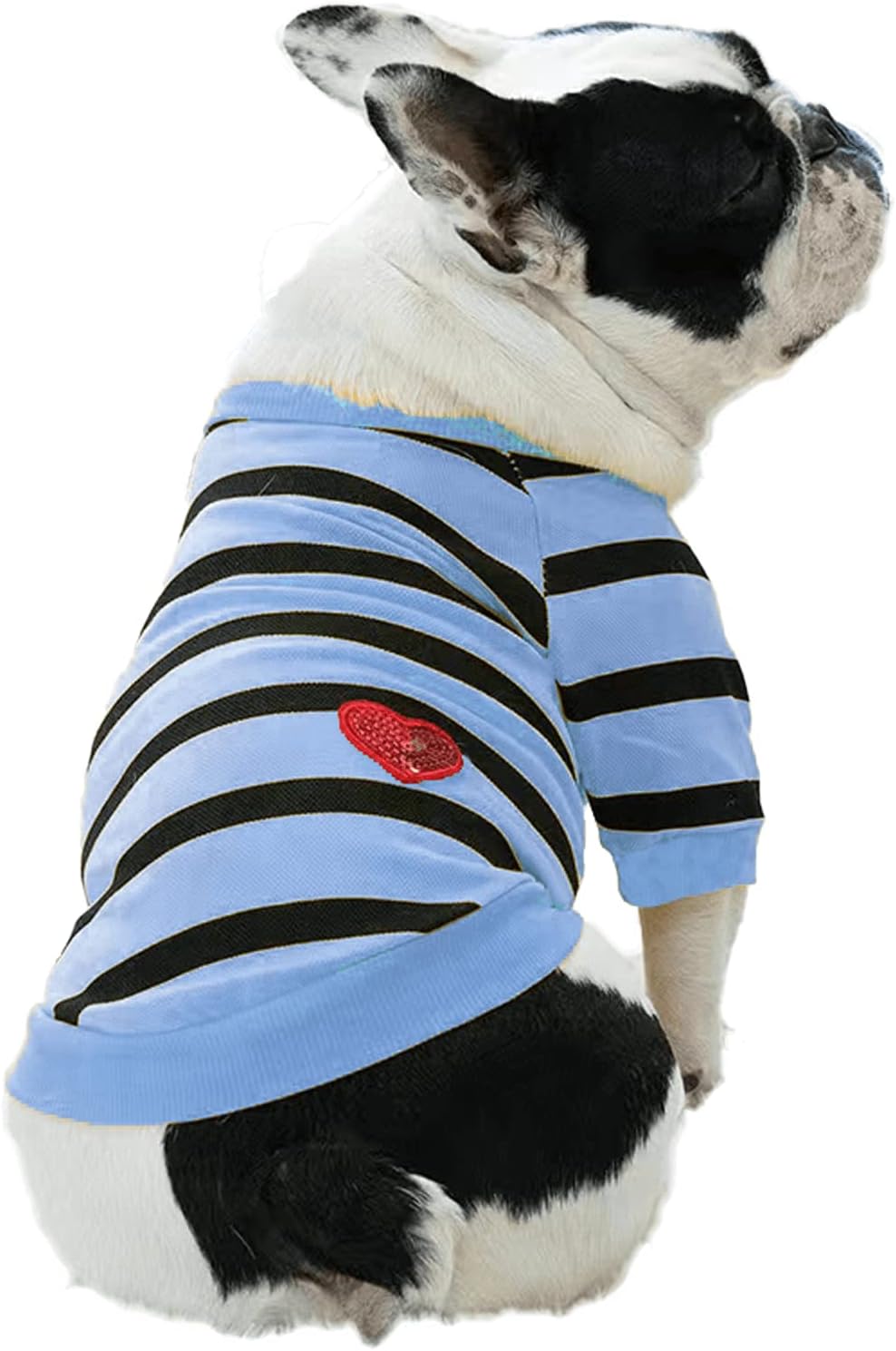 Detalle 1 de Dog Sweater in XL