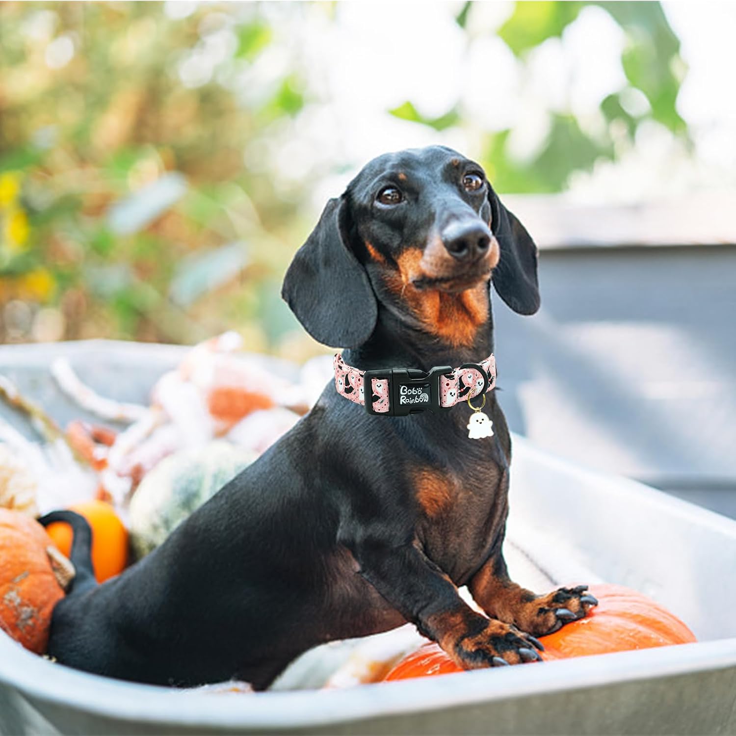 Thumbnail 4 de Bobo Rainbow Ghost Dog Collar, Adjustable Cotton Halloween Collar with Quick-Release Buckle