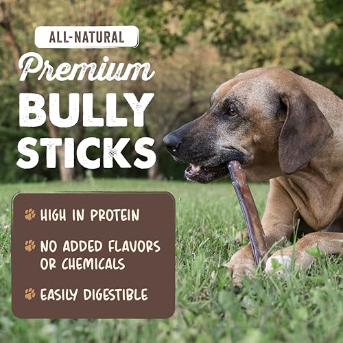 Thumbnail 1 de Mighty Paw 12" Bully Sticks for Dogs - Large, Medium and Small Breeds Chew