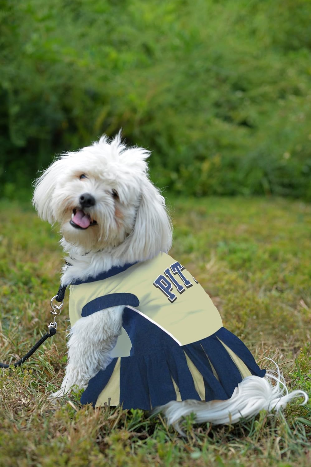 Detalle 2 de Pets First NCAA Pittsburgh Panthers Dog Cheerleader Outfit (X-Small)