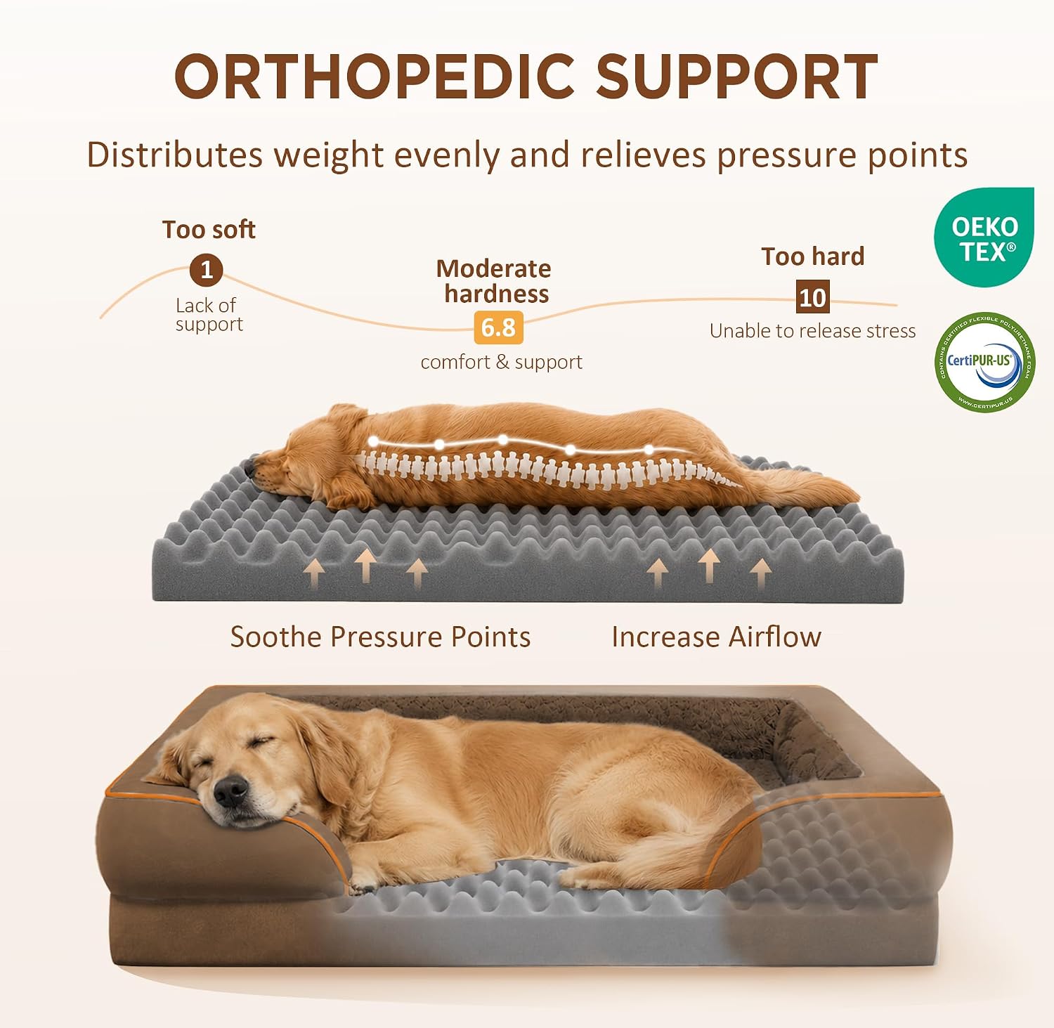 Thumbnail 1 de Comfort Expression CEUS0422A5342CB Orthopedic Dog Bed, 53 x 42-Inch