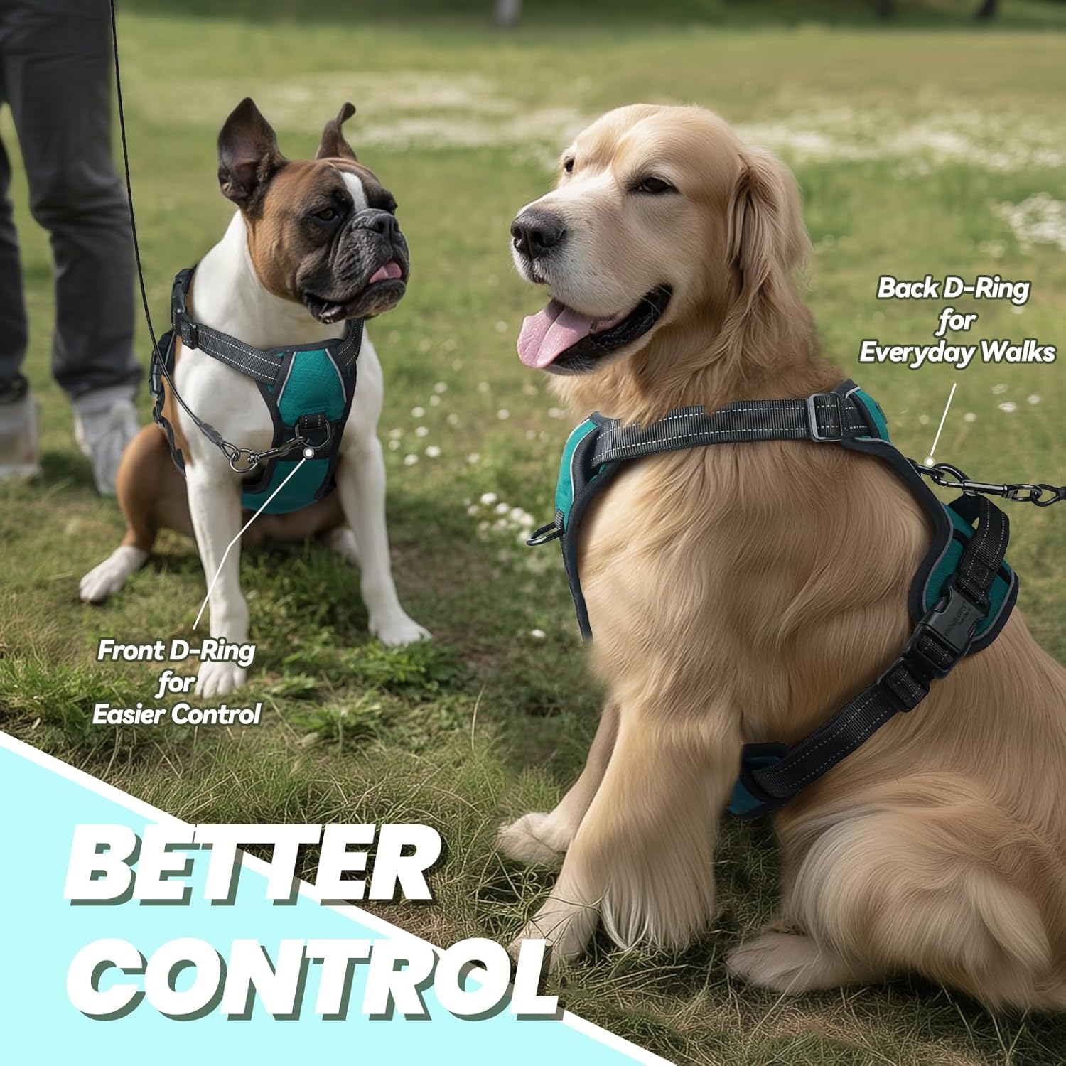 Detalle de VIVAGLORY Easewalk No Pull Dog Harness with Front Clip, Back Clip and Handle (L) in Teal