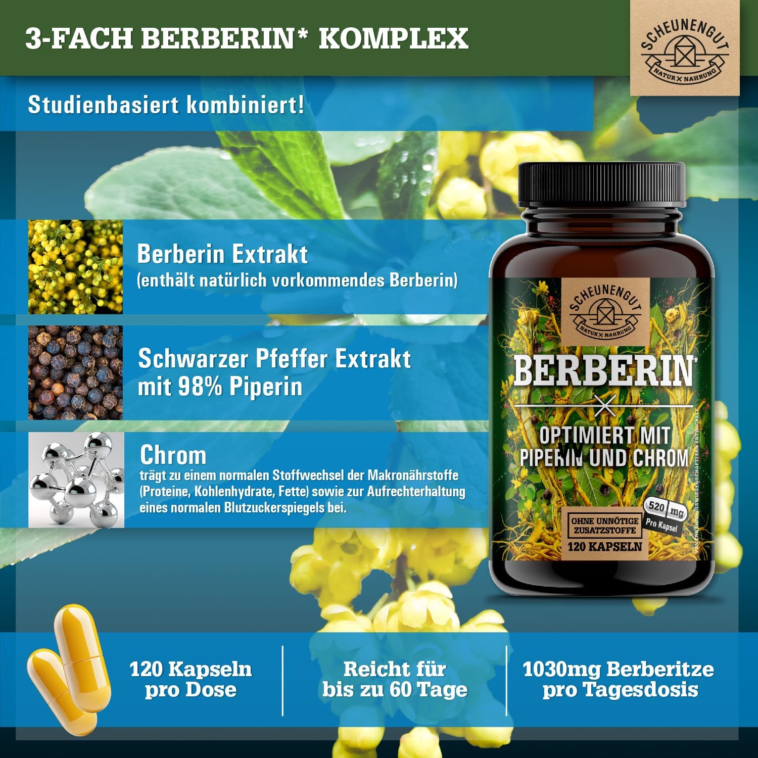 Thumbnail 2 de Berberin 1040mg Tagesdosis Kapseln