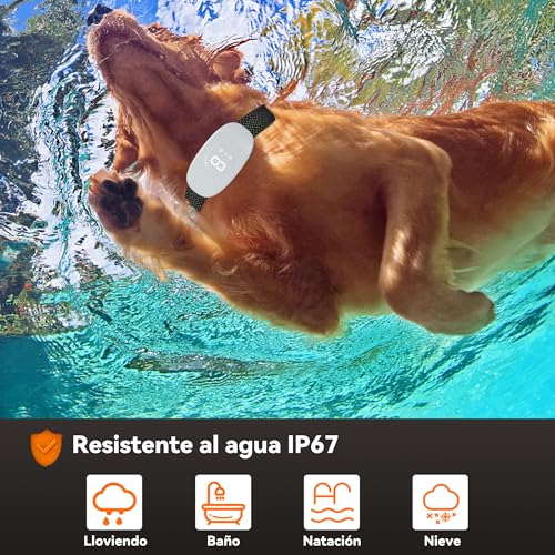 Thumbnail 7 de Meloive Collar Antiladridos para Perros con 8 Niveles de Sensibilidad y 4 Modos de Estimulación