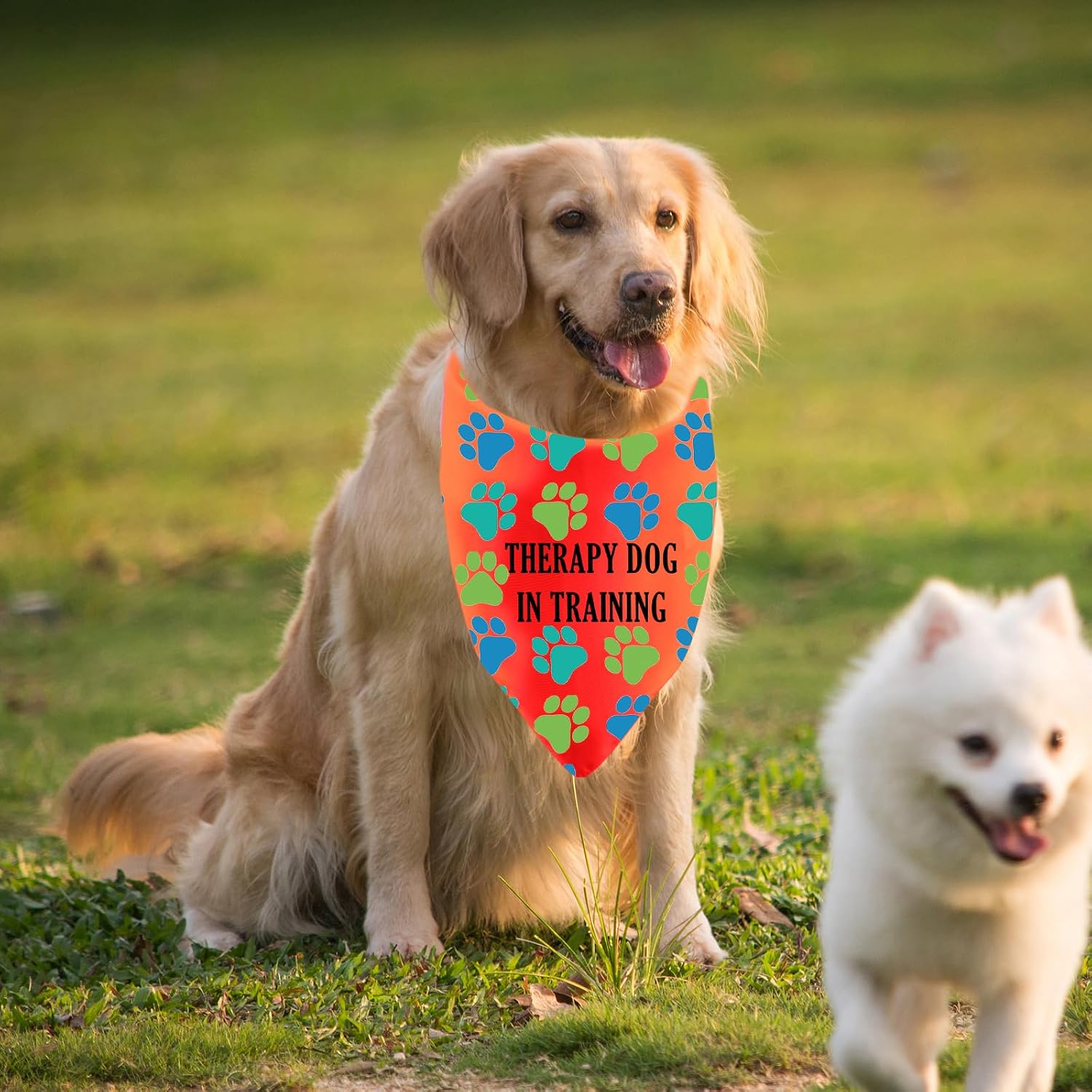 Thumbnail 6 de Therapy Dog Training Bandana, Polyester