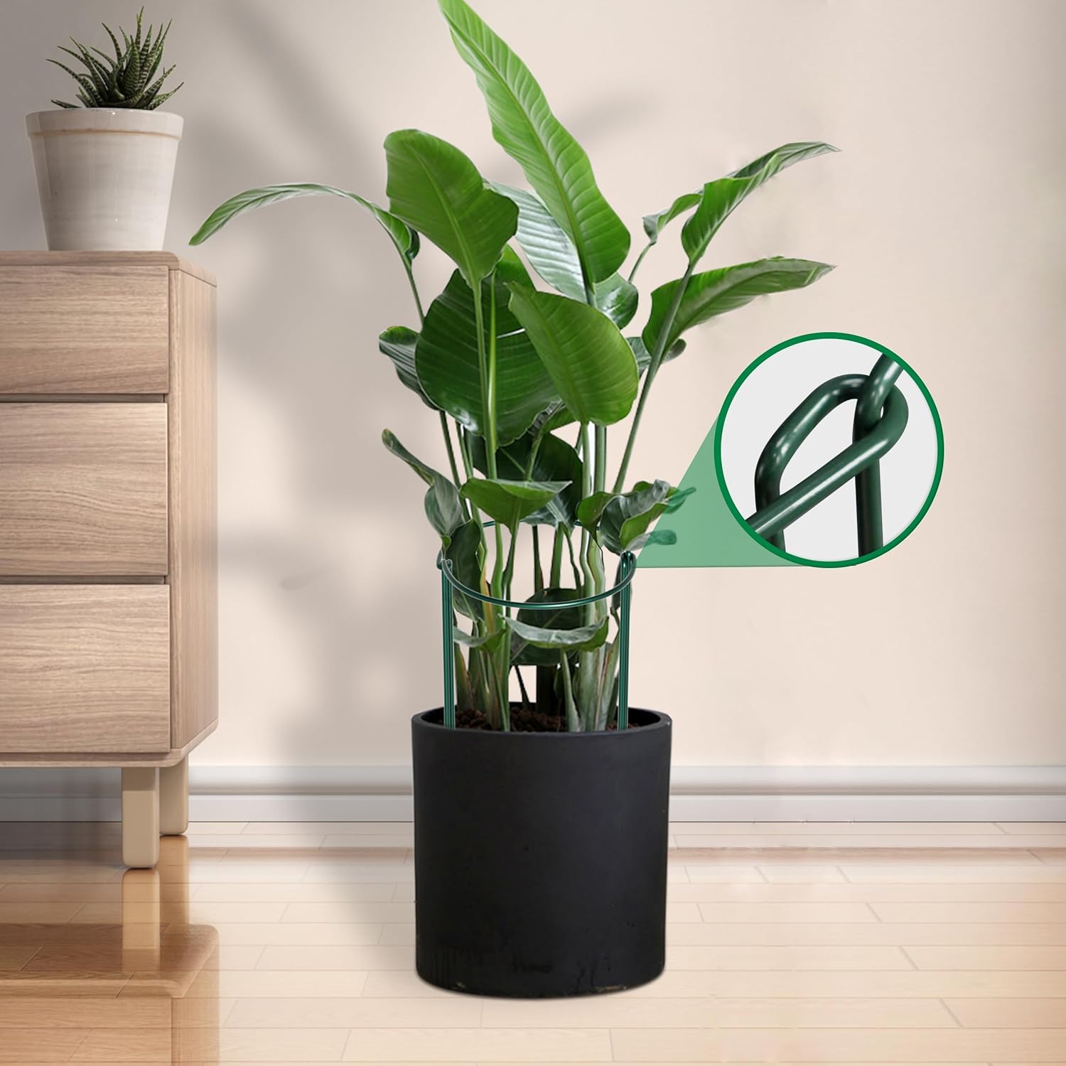 Thumbnail 6 de 10pcs 25x60cm Plant Supports: Thicker 4mm Garden Stakes for Tall Perennials (Green, Weatherproof)