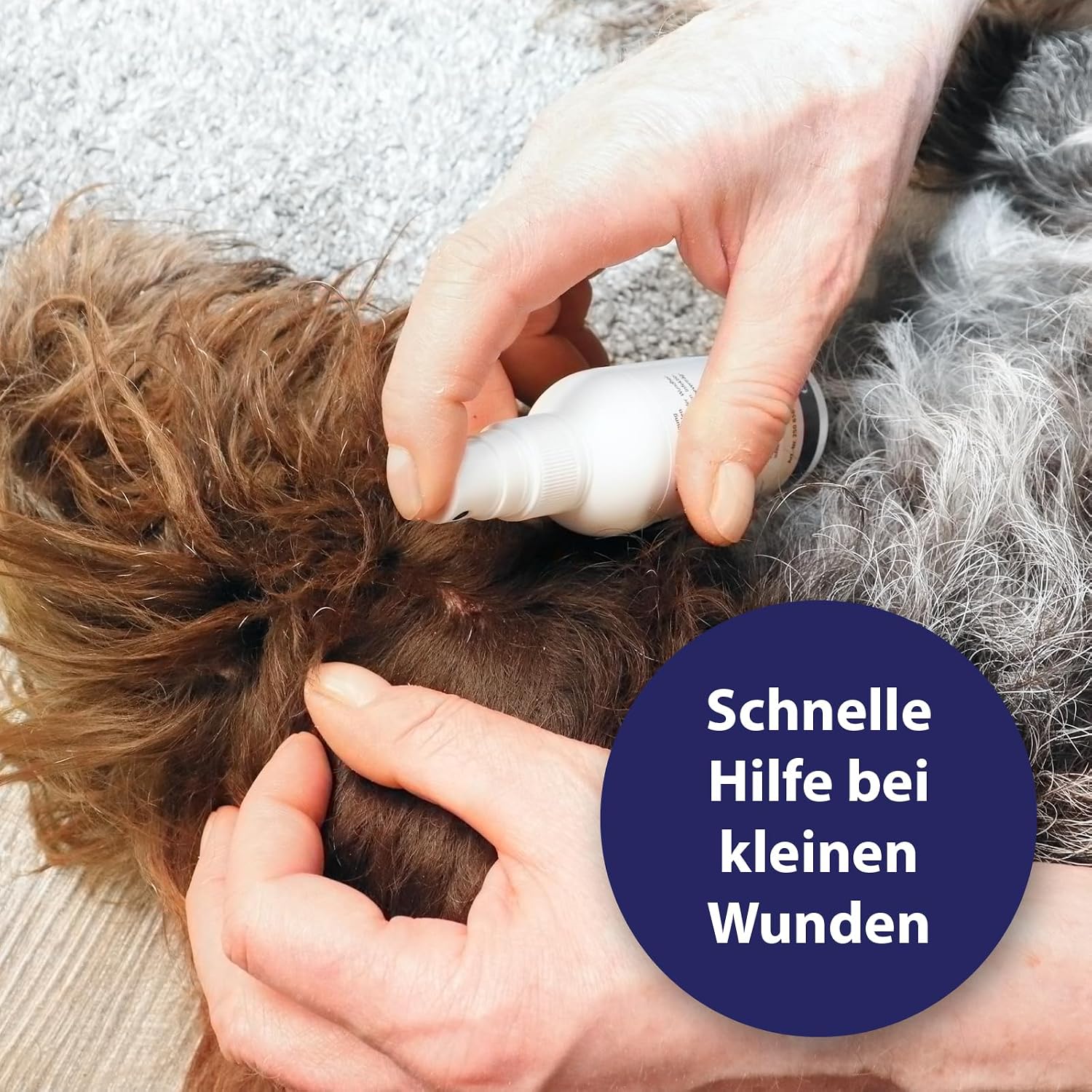 Detalle de Canosept Wundspray für Hunde – 75 ml zur Reinigung und Pflege von Wundbereichen