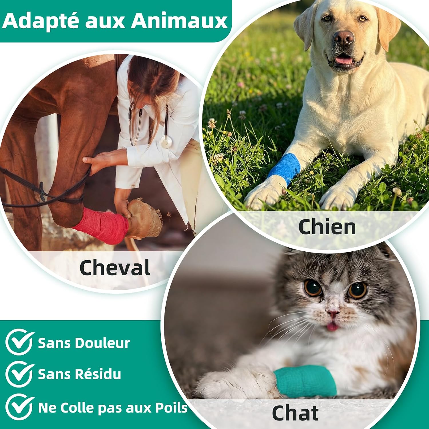 Detalle de HONYAO Bandage Autoadhésif 10 Rouleaux – Bande Cohesive 7,5 cm x 4,5 m