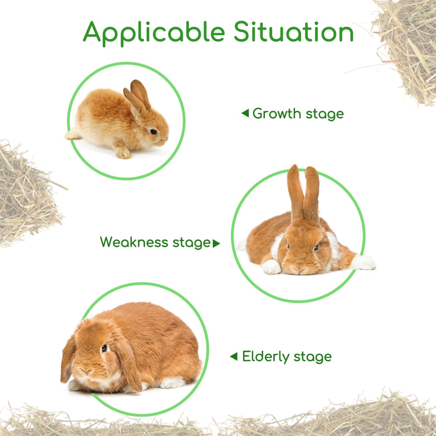 Thumbnail 2 de Nobleza Timothy Hay per conigli e roditori, 2,5 kg di fieno ricco di fibre