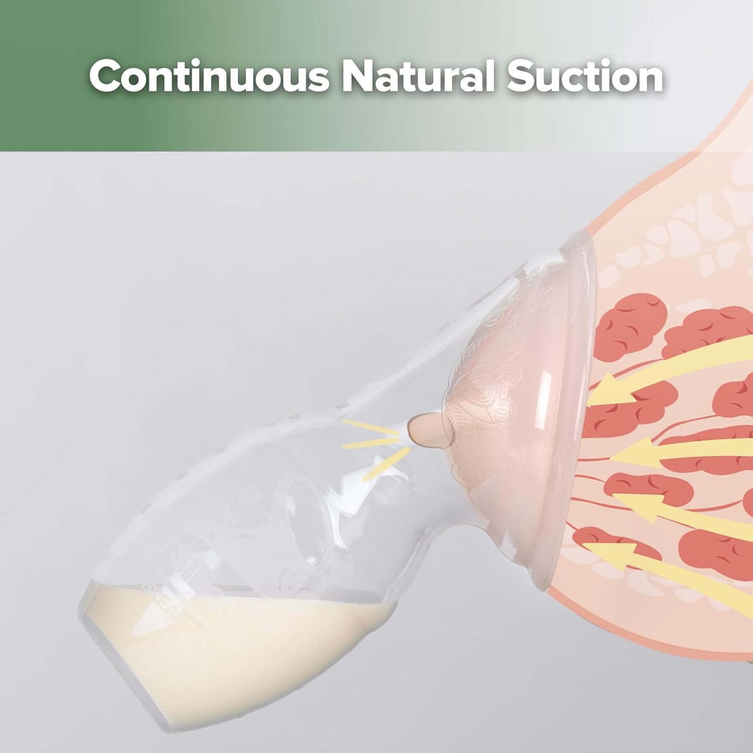 Thumbnail 3 de haakaa Tiralatte manuale con collettore in silicone brevettato da 100 ml