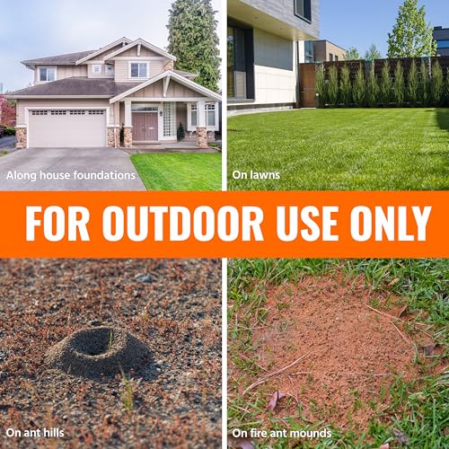 Detalle de TERRO Ant Killer Plus Multi-Purpose Insect Control, 3 lb Shaker Bag