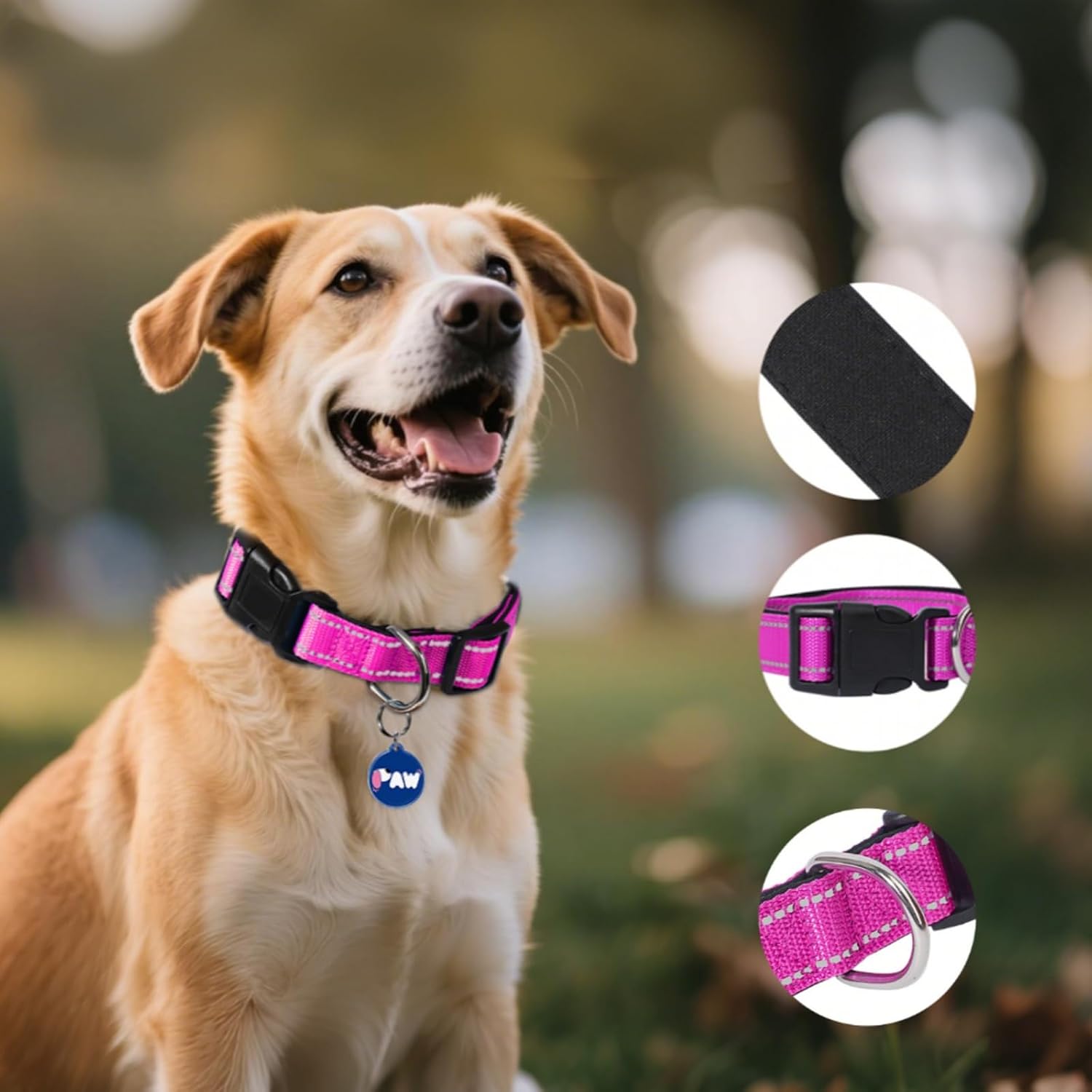 Detalle 2 de PawView Halsband Hund Verstellbar – Weich gepolstertes Neopren-Nylon Halsband mit QR-Code-Hundemarke (S: 2 cm breit, 30–40 cm) Magenta