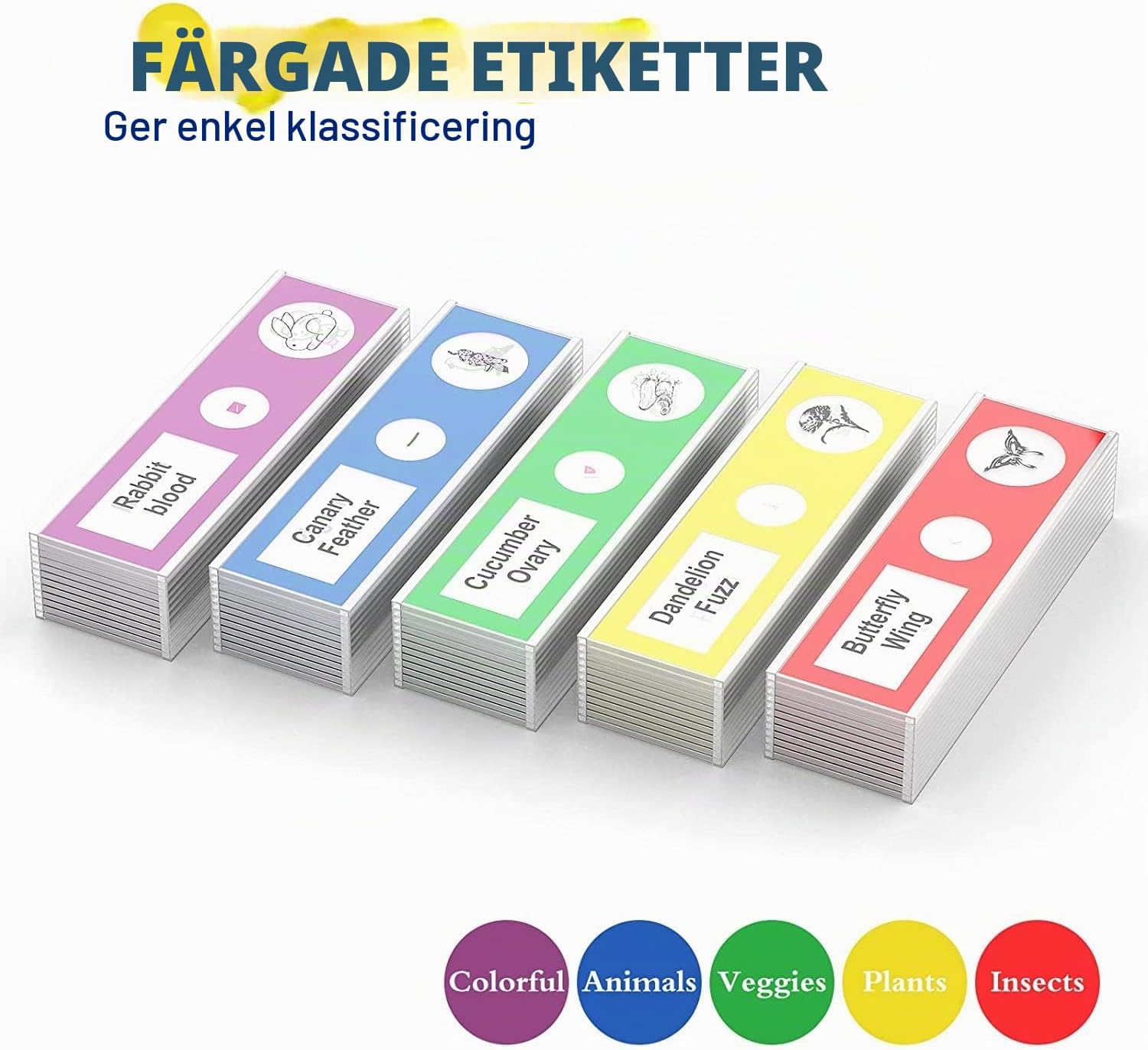 Detalle 2 de Jiusion 60 förberedda mikroskoppreparat i plast för biologiundervisning
