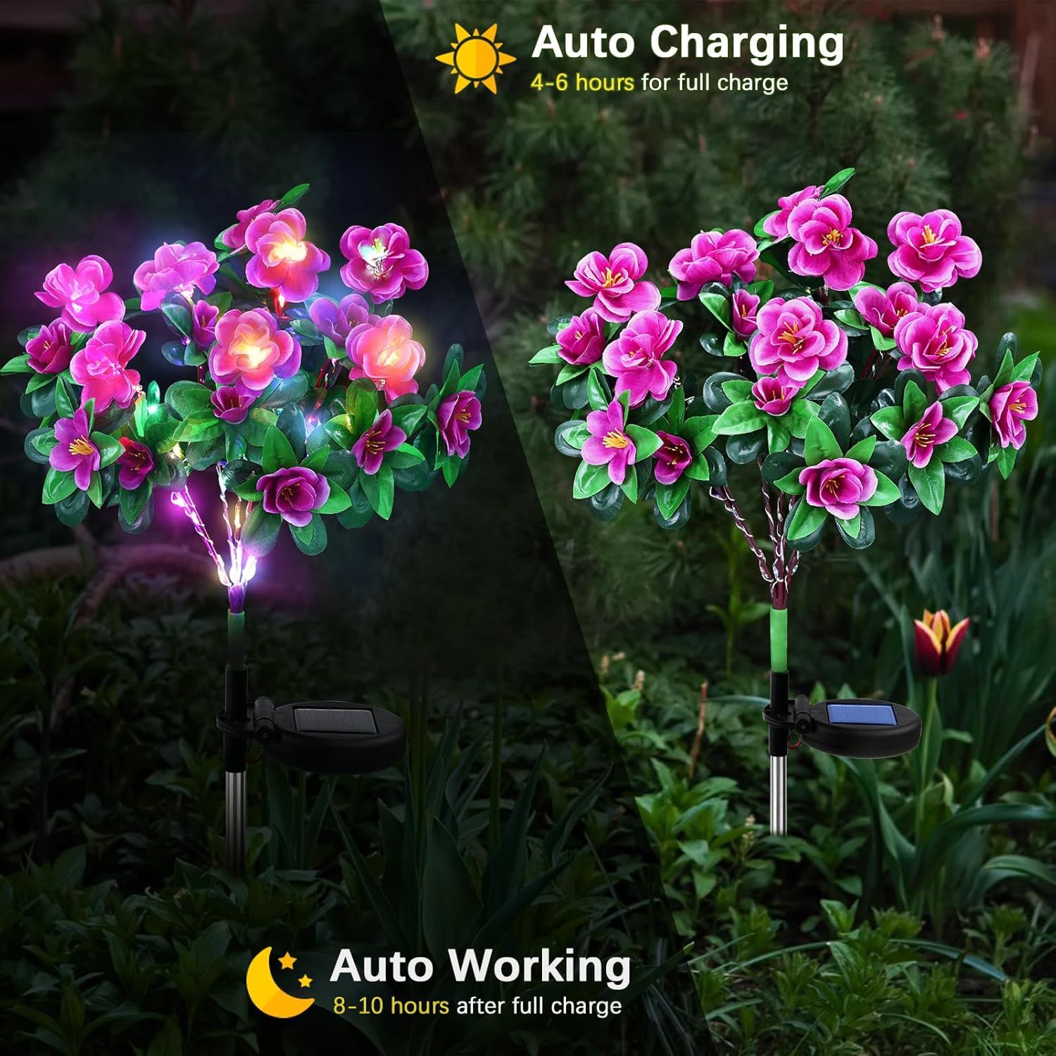 Detalle de FWLWTWSS Solar Flower Lights Outdoor Garden - 2 Pack Rhododendron Solar Lights (Purple)