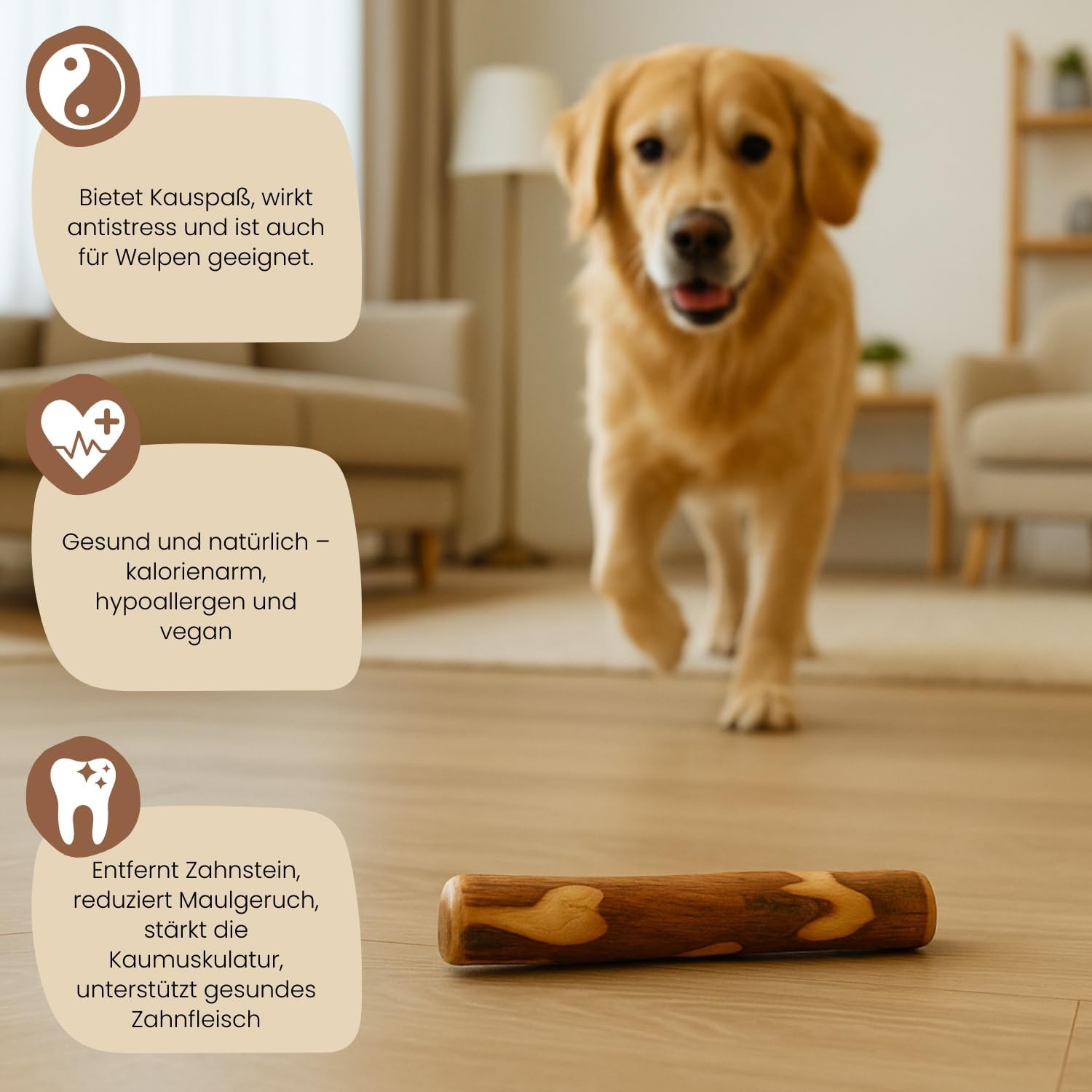 Thumbnail 1 de PetLove Olivenholz für Hunde mit Lachsöl – Kauholz als Hundespielzeug, imprägniert, 2er Pack (Größe M)