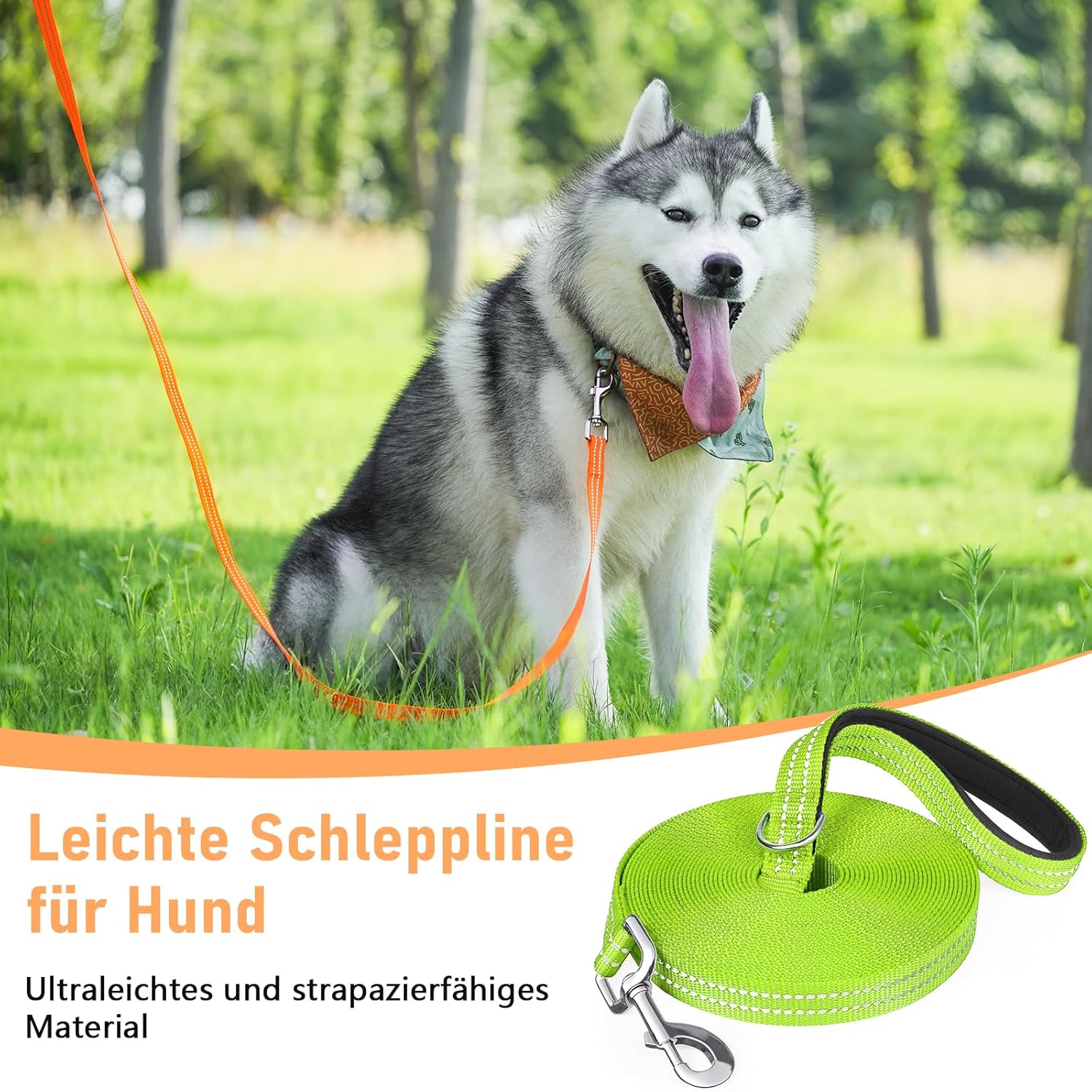 Thumbnail 1 de X XBEN robuste & leichte Schleppleine mit Handschlaufe, 30 m – reflektierend, mit Metallhaken