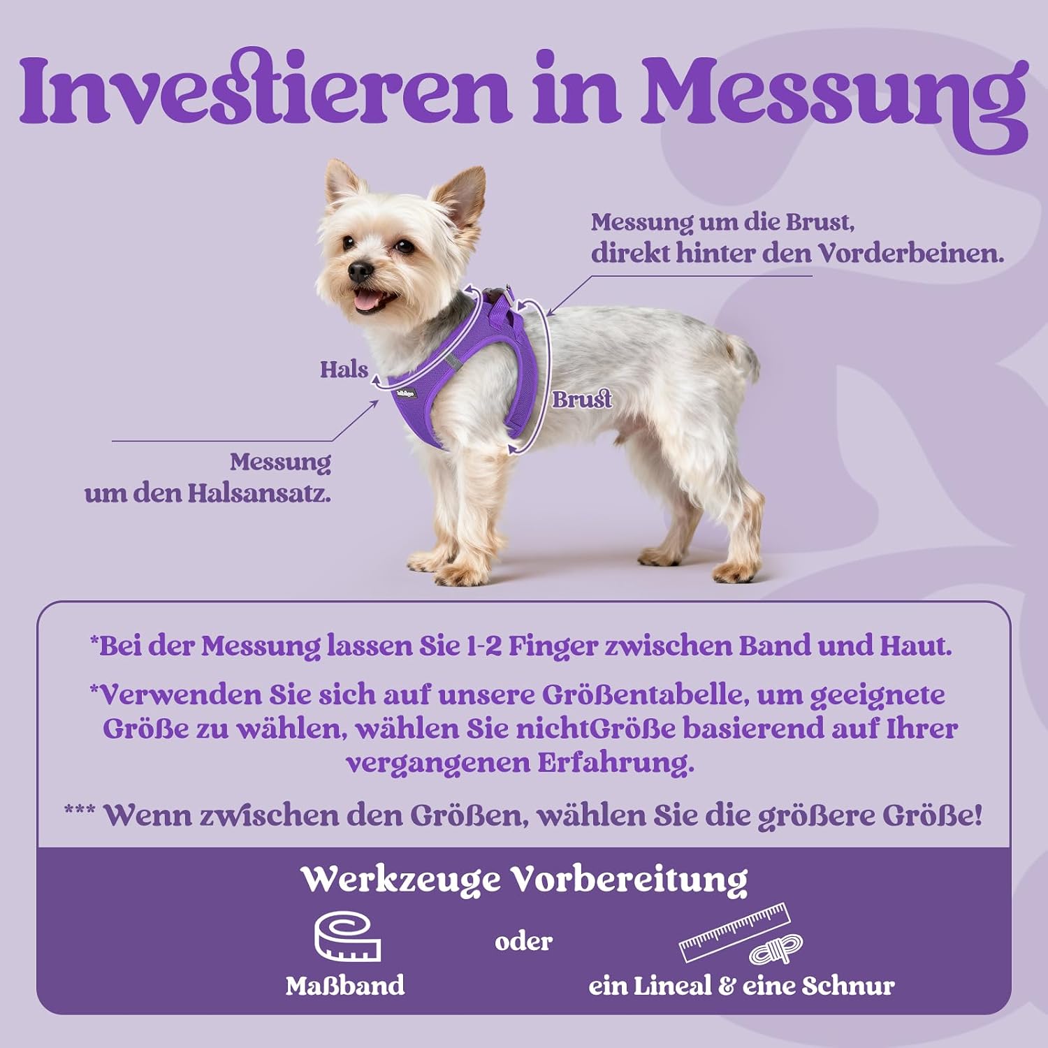 Detalle de rabbitgoo Hundegeschirr Kleine Hunde XS – Schritt-in Mesh-Geschirr mit Reflektivität (Lila)