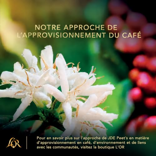 Detalle 2 de L'OR Absolu Intensité 7 Grains de café 1 Kg – Arabicas et Robustas pour un café aromatique