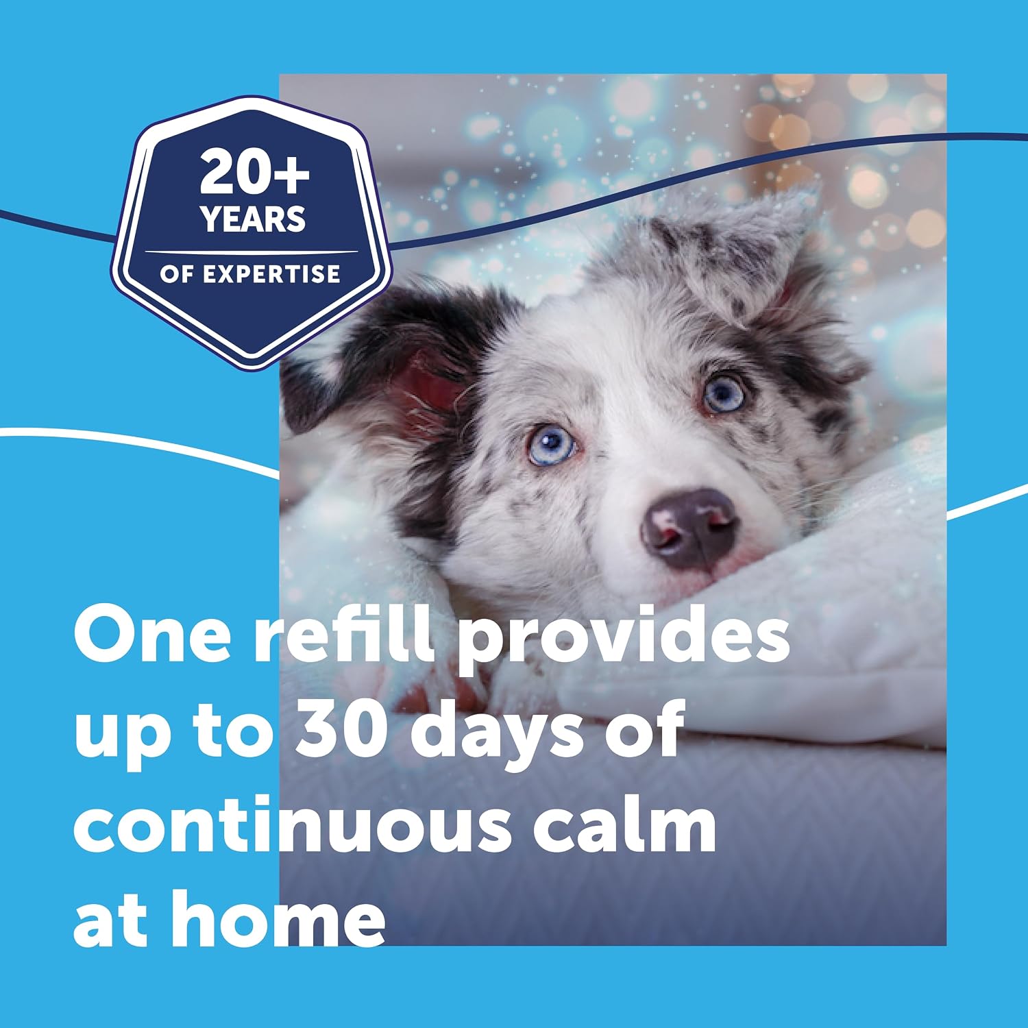 Detalle 2 de Adaptil Calm Home Diffuser for Dogs with 30 Day Refill – Calming pheromone diffuser to ease anxiety in dogs