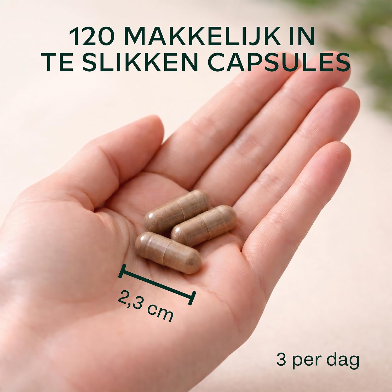 Thumbnail 6 de AAVALABS Zwarte & Gele Maca-wortel 57.000 mg, 120 vegan capsules