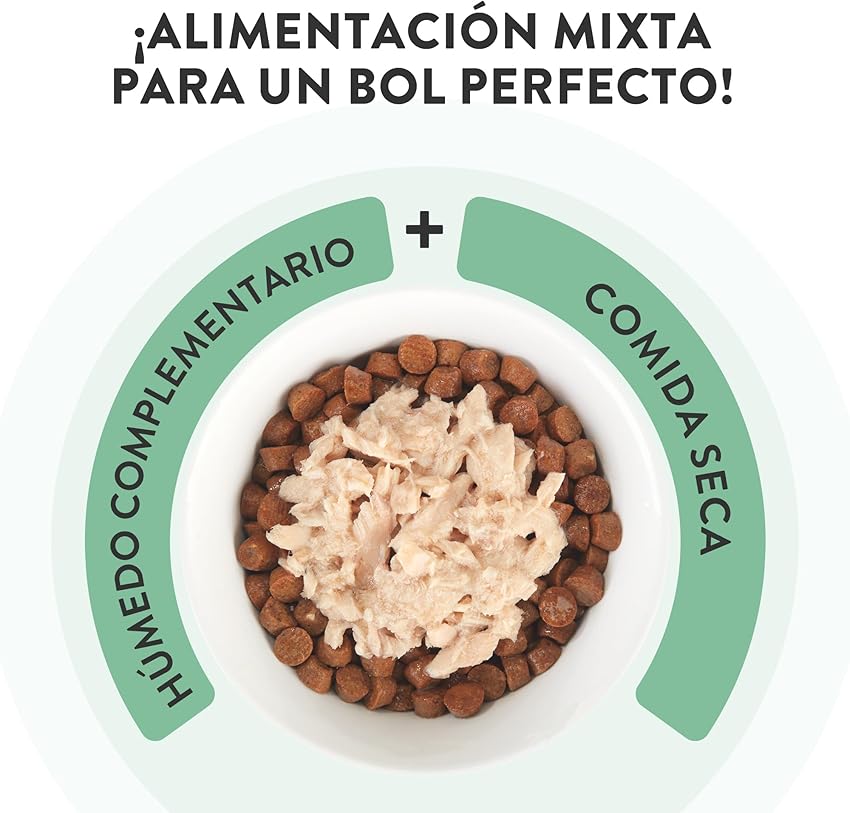 Detalle 2 de Schesir Filetes de Atún y Merluza 12×70 g 🐱