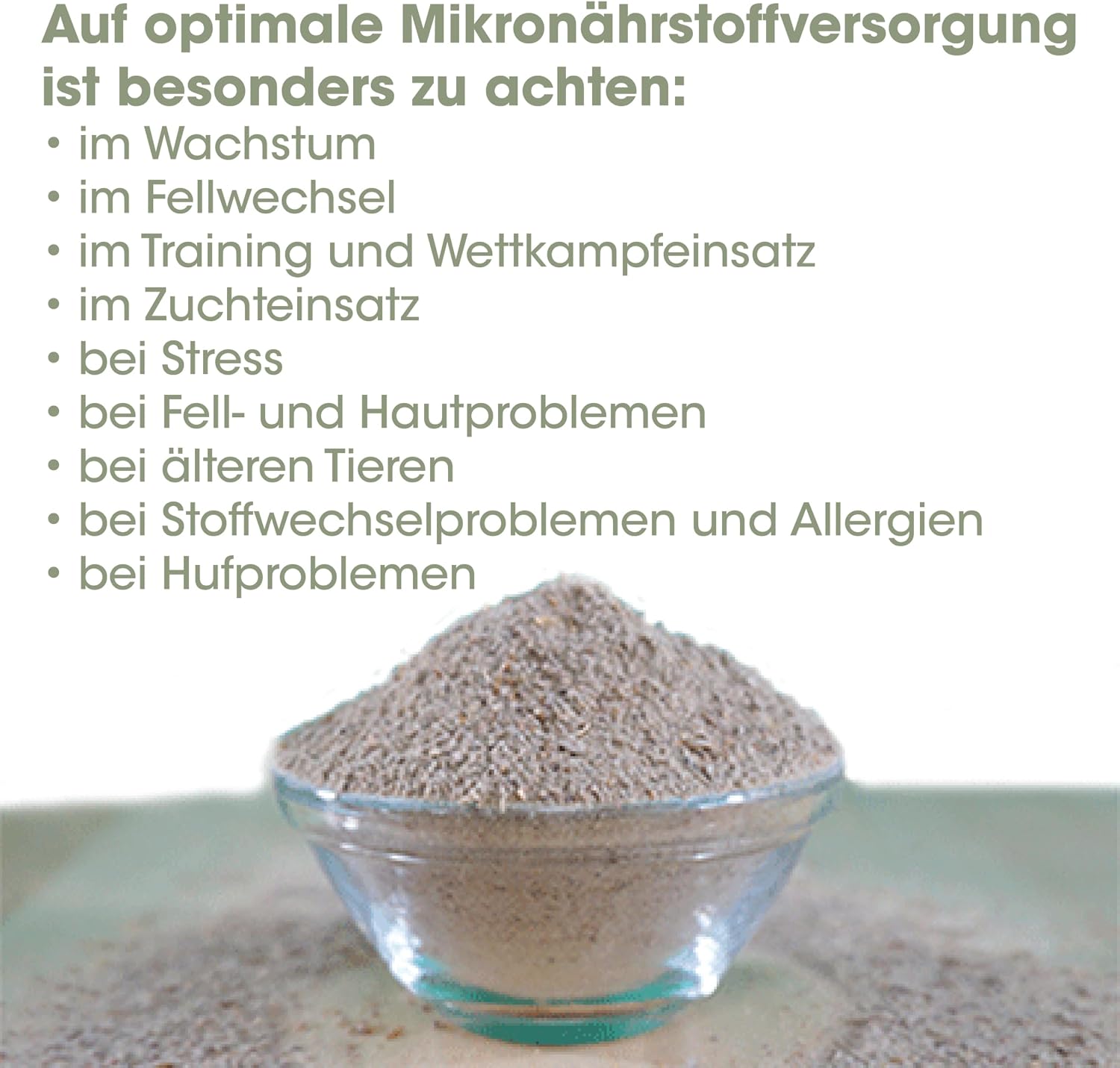 Detalle 1 de EquiGreen Mineralergänzungsfuttermittel Pferde 1 kg