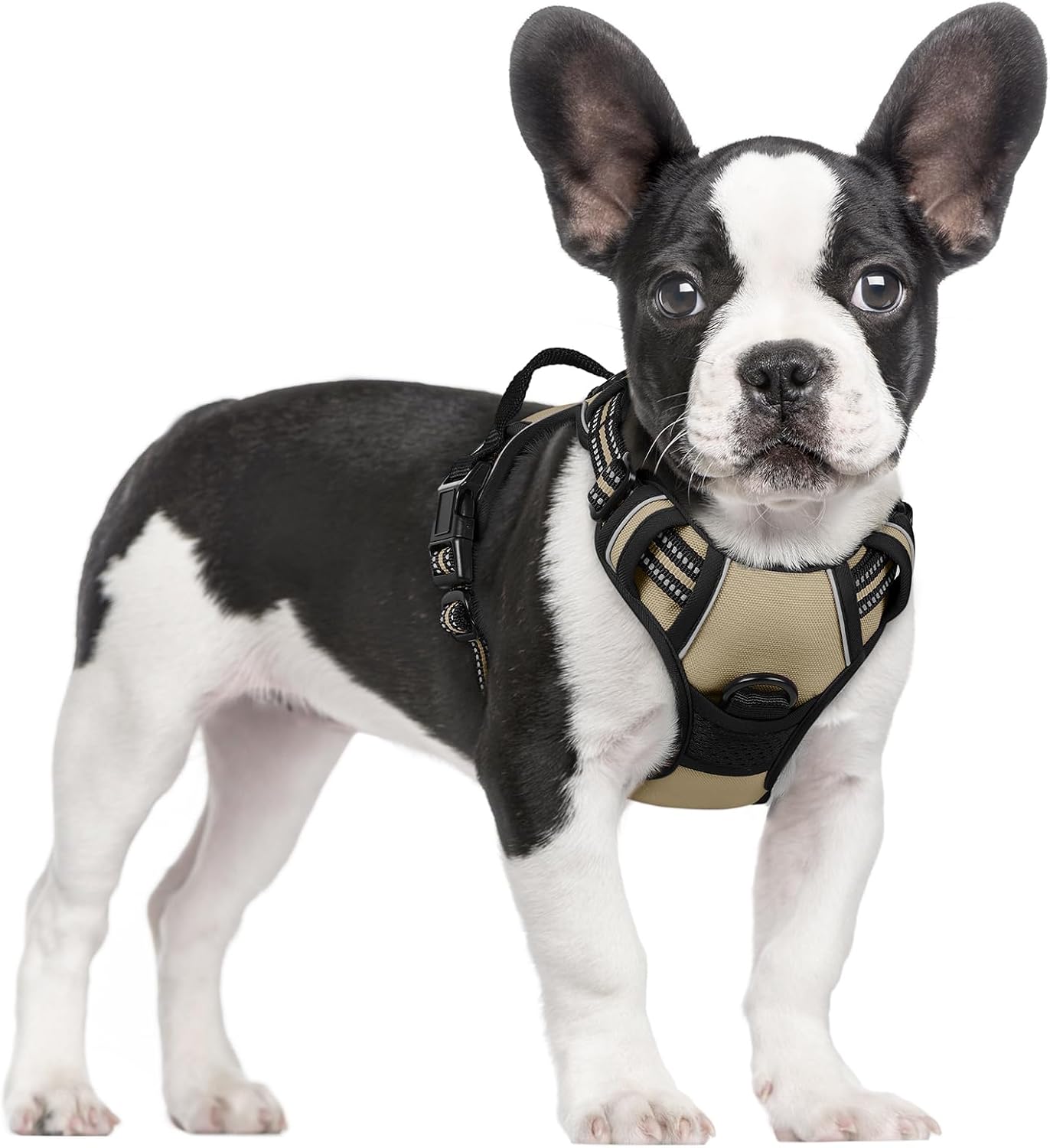Detalle de rabbitgoo Hundegeschirr Mittelgroße Hunde – Anti-Zug, verstellbar, atmungsaktiv, Reflektor, Größe S (33–61 cm Brustumfang)