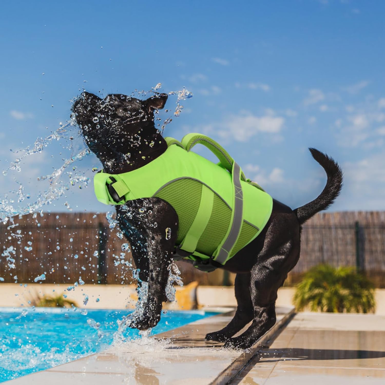 Thumbnail 6 de Queenmore Giubbotto Salvagente Cane con Alta Galleggiabilità – Versione Verde (L) per Kayak, Barche e Nuoto