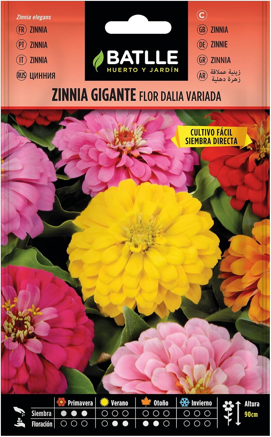 Detalle de Batlle Zinnie Dalhien Blooming – Duftend und bestäuberfreundlich