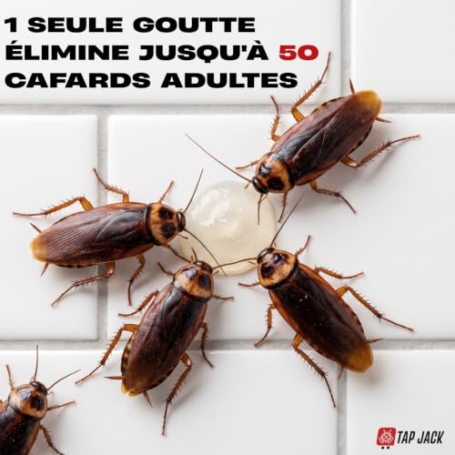 Detalle 2 de Gel Anti Cafards Nouvelle Génération – TAP JACK, 10 g, Double Action IGR