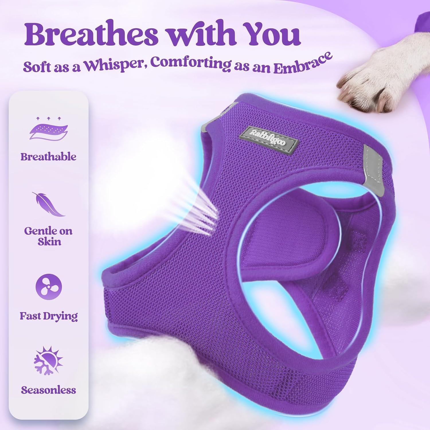 Detalle 2 de rabbitgoo Dog Harness M Set