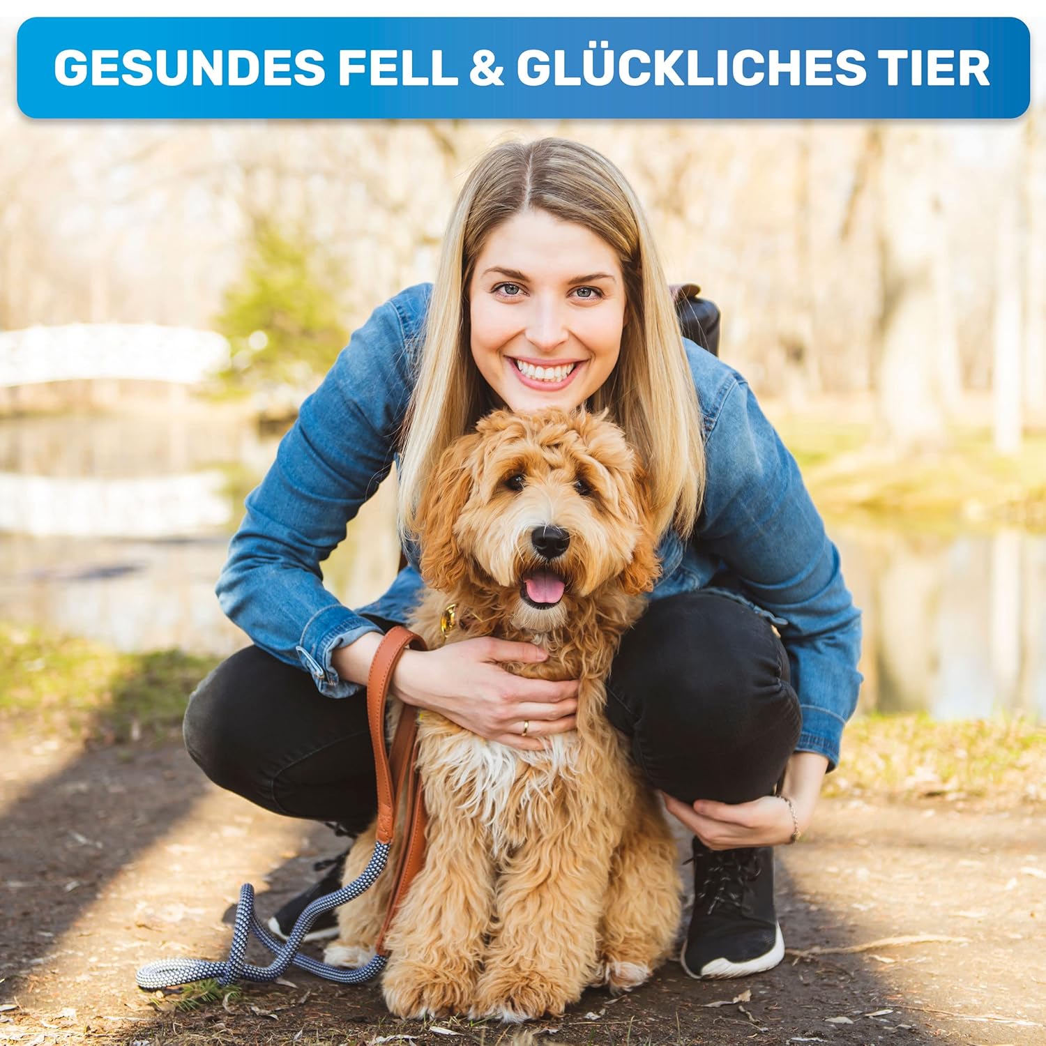 Thumbnail 3 de BluePet Fellentwirrer & Entfilzer für Langhaar – Fellstriegel mit zwei Reihen Edelstahlpins