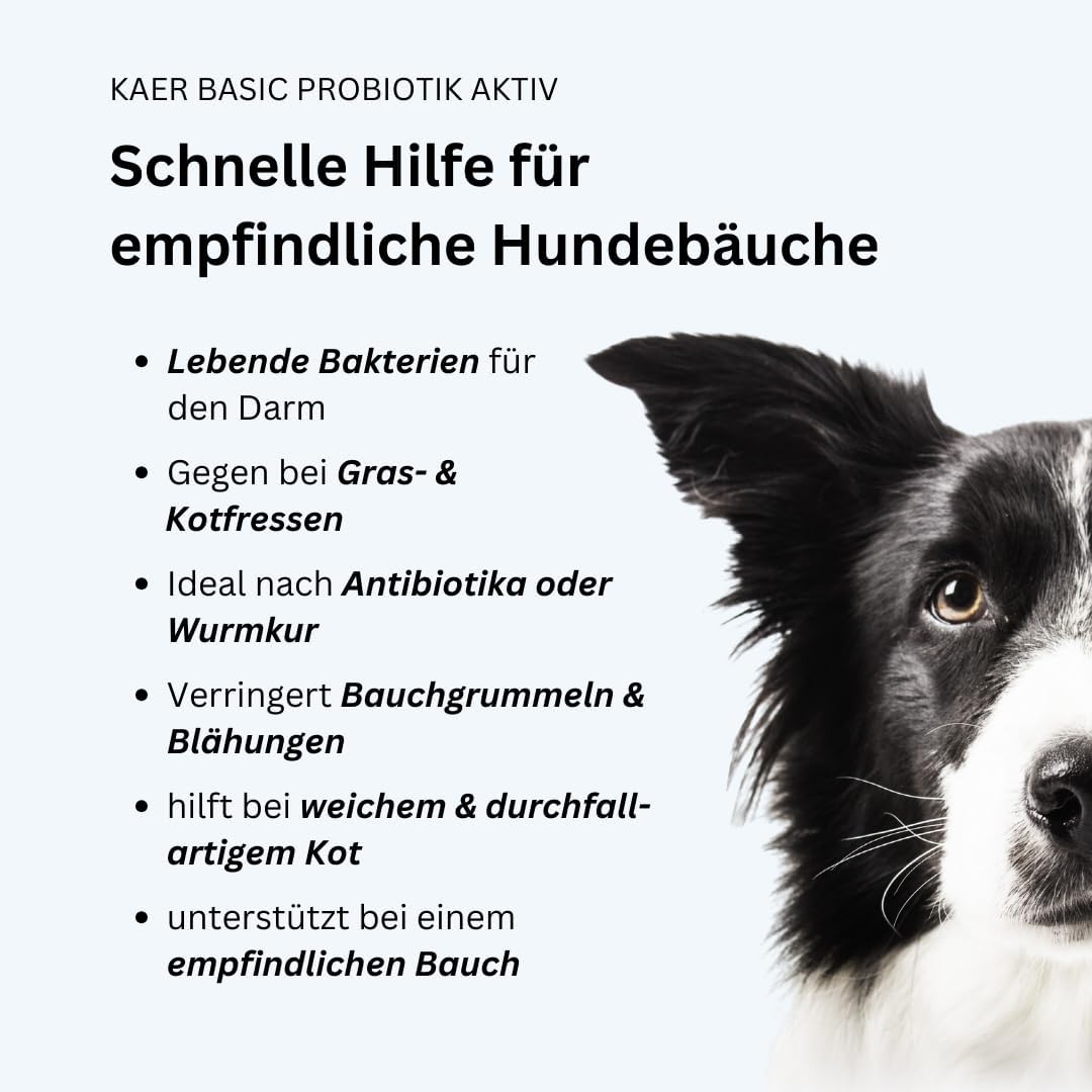 Detalle 2 de kaer basic Probiotik Aktiv Pulver 400g