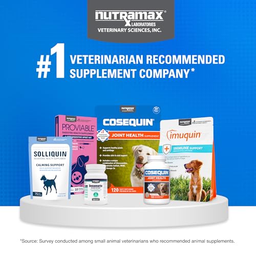 Thumbnail 8 de Nutramax Cosequin Joint Supplement for Dogs — Soft Chews, 120 Count