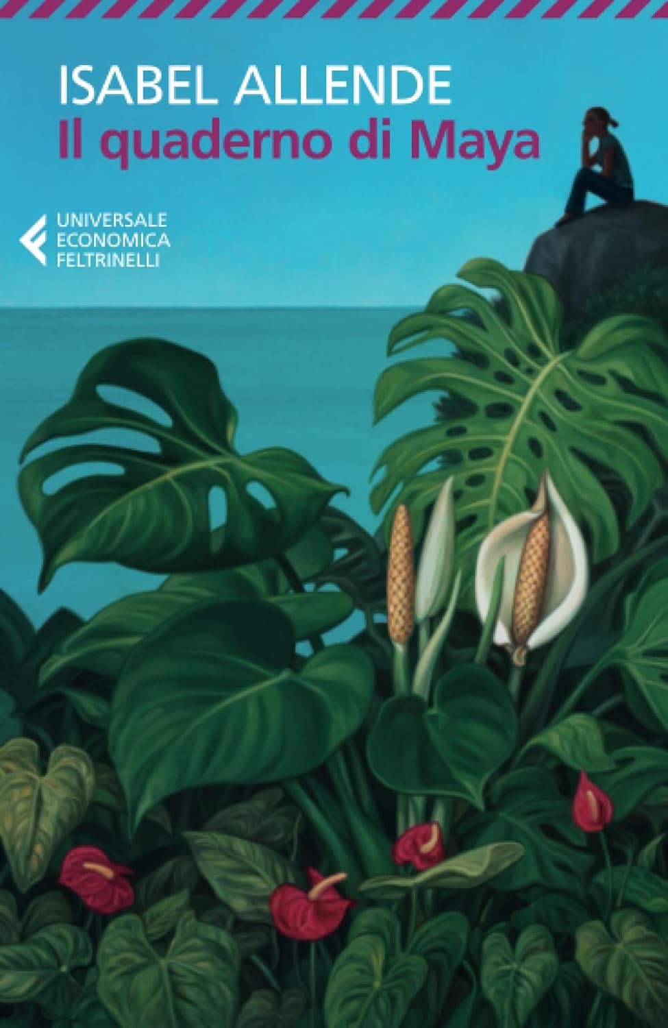 Detalle de Feltrinelli Il quaderno di Maya – tryckt bok på italienska