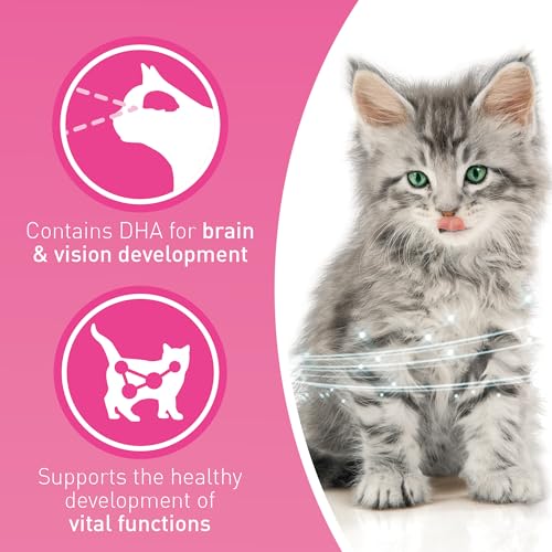 Detalle 2 de Purina ONE Kitten Chicken Dry Cat Food 750g (Pack of 4) review