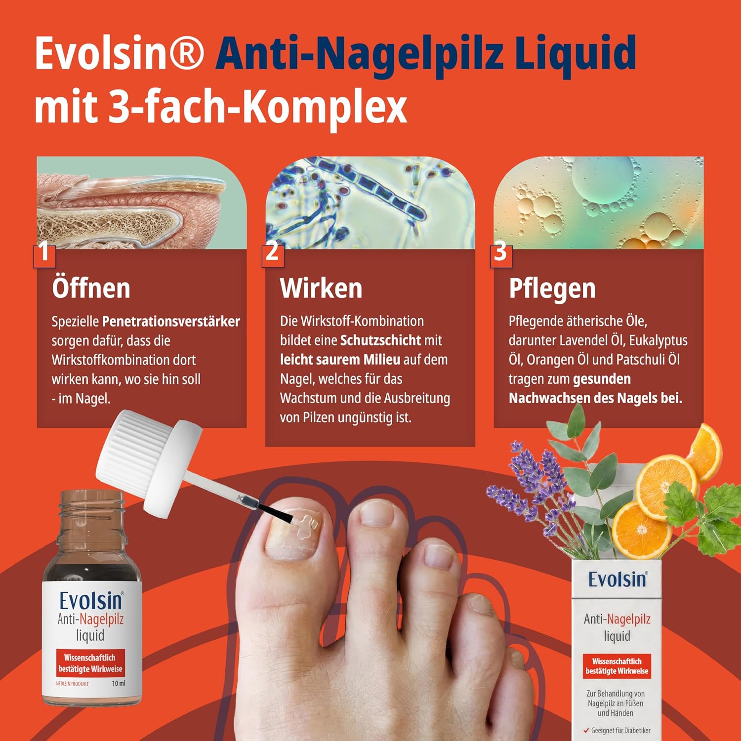 Detalle 2 de Evolsin® Anti-Nagelpilz Liquid – Medizinprodukt gegen Nagelpilz an Händen & Füßen, auch für Diabetiker
