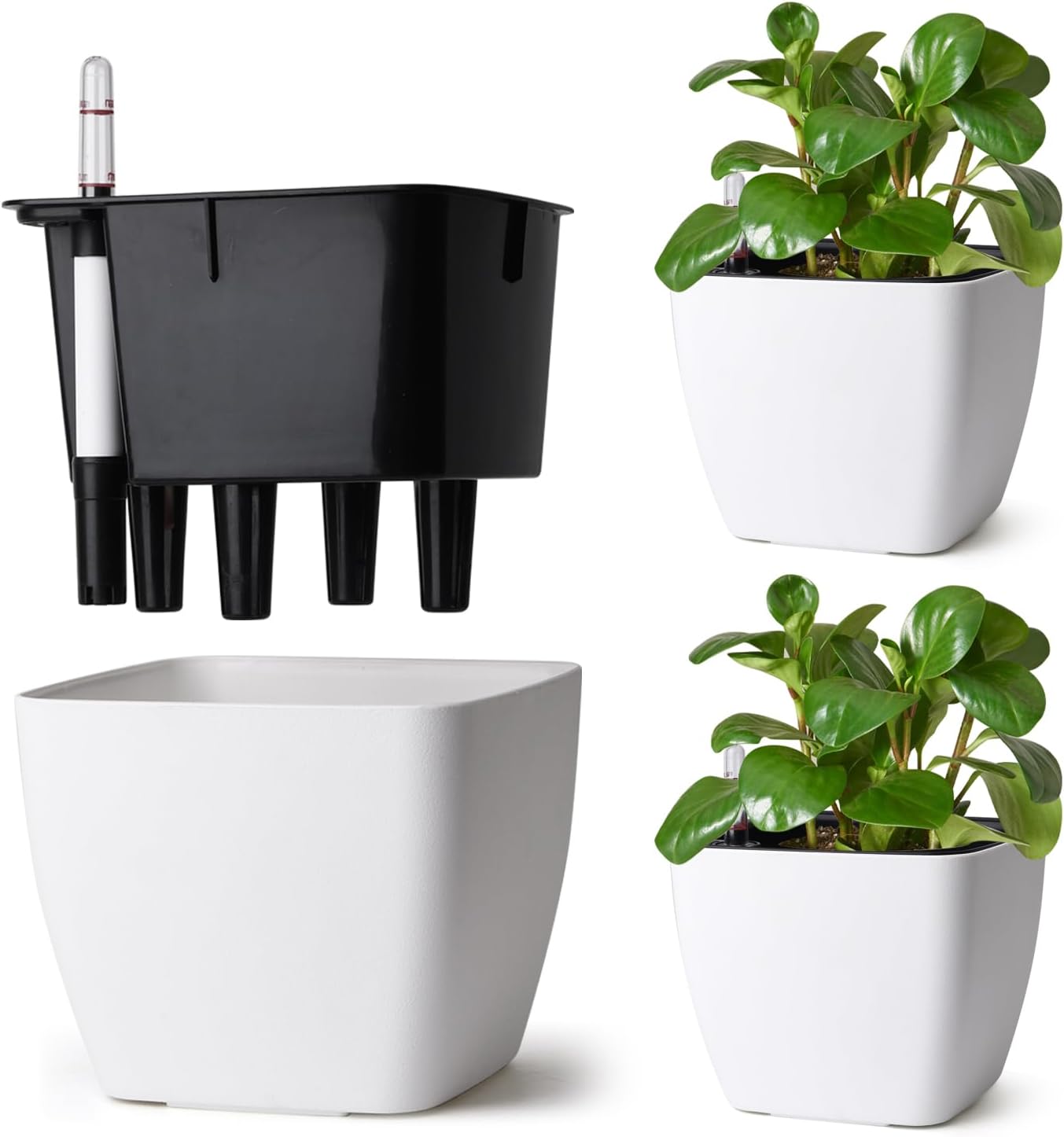 Detalle de T4U Self-Watering Plant Pots, 18 cm, 3 Pack with Water Level Indicator