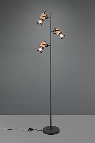 Detalle 2 de Lampadaire Trio Leuchten Tosh 404300332