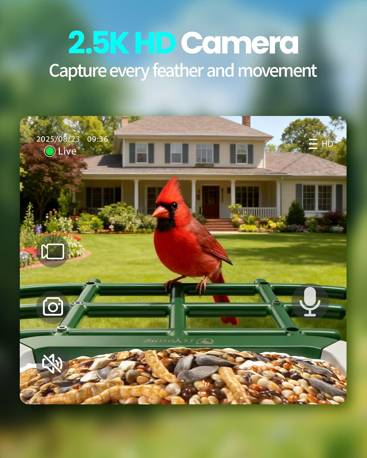 Detalle de Smart Bird Feeder with Camera (G11) — 2K HD, Dual Granary, 16,000+ Bird ID, Solar Power