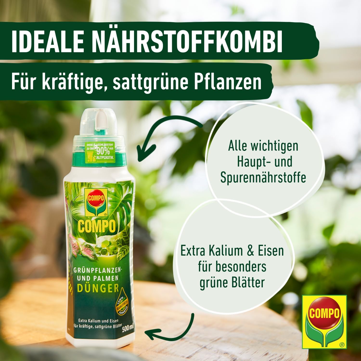 Detalle de COMPO Grünpflanzen- und Palmendünger Spezial-Flüssigdünger, 1 Liter – Zimmer-, Balkon- und Terrassenpflanzen
