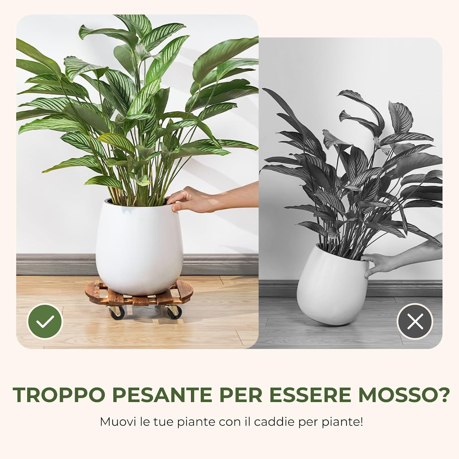 Thumbnail 3 de Bamworld Carrello per piante in legno con ruote girevoli (set di 2 supporti) – mobile per interni ed esterni